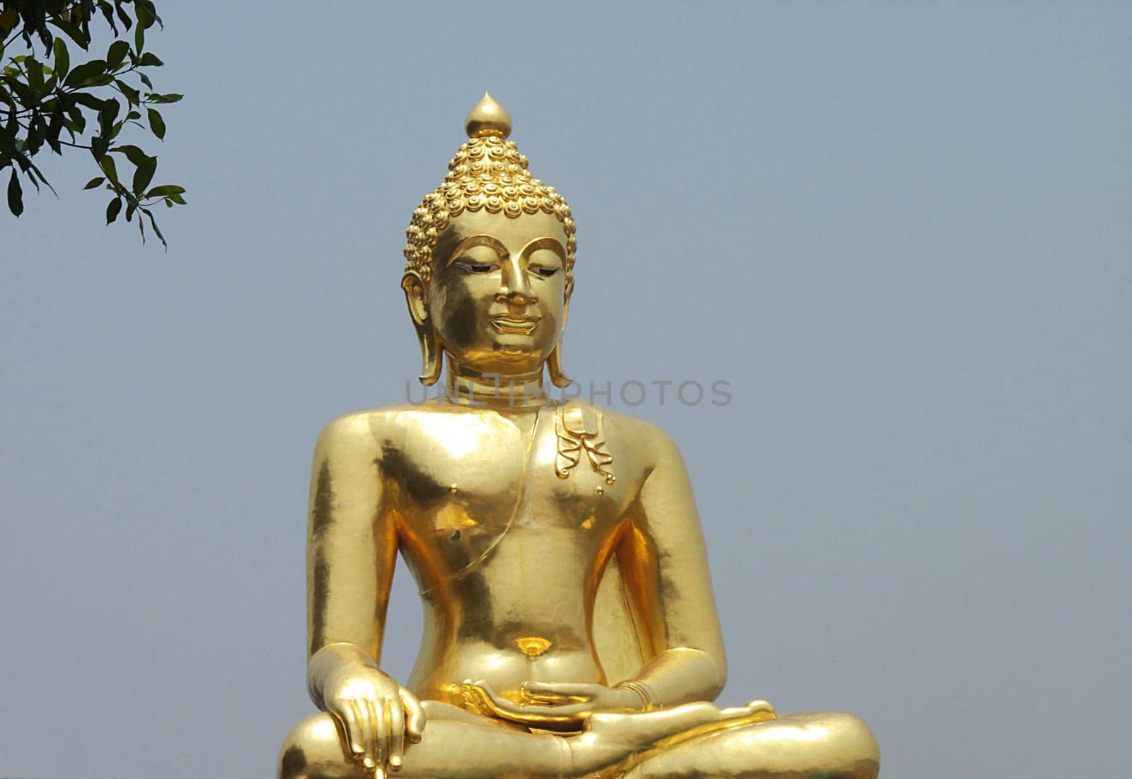 The Buddha stands at the Golden Triangle,in Thailand