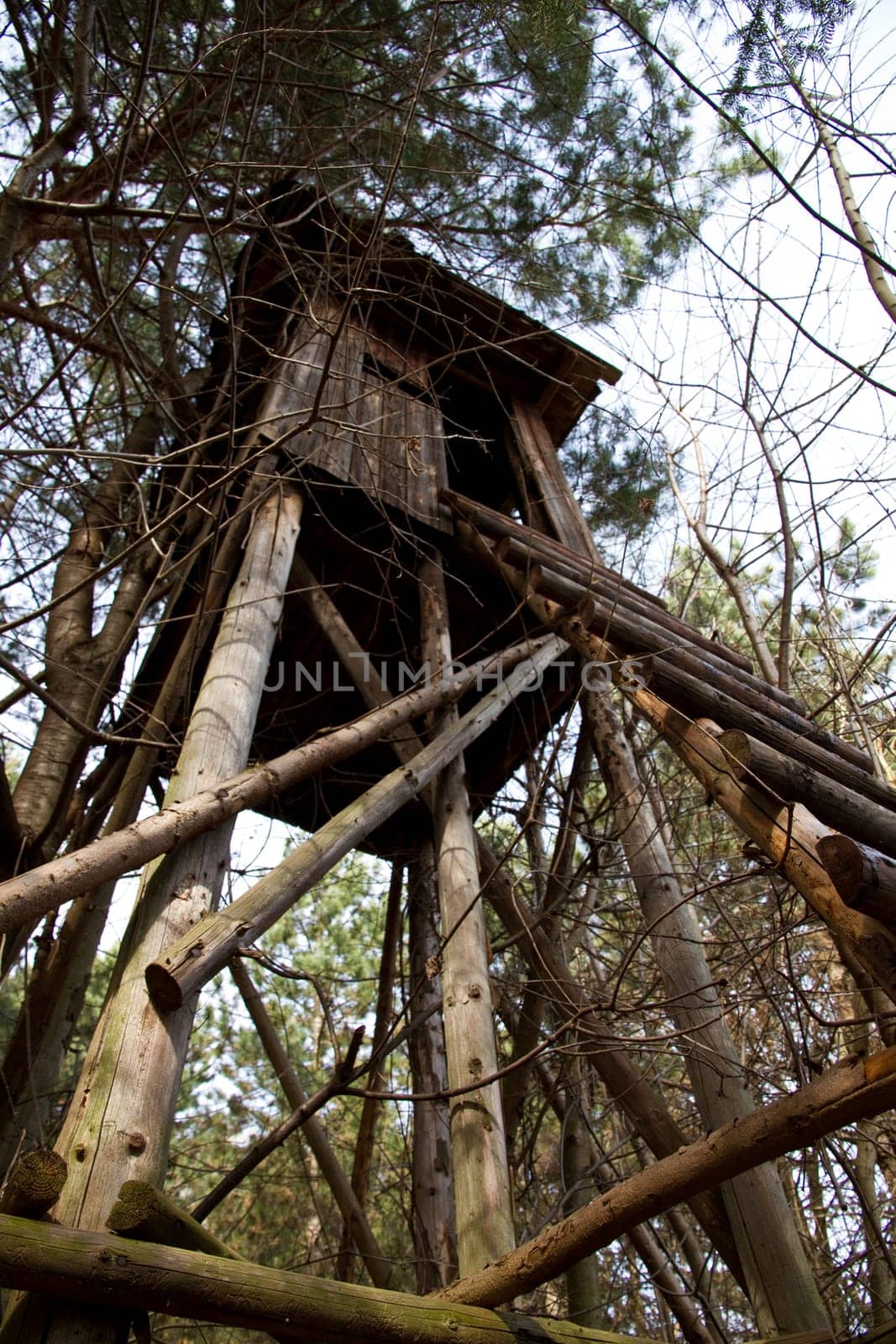 Raised hide