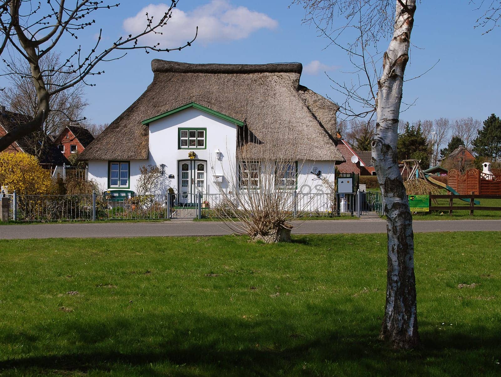 Thatched roof house