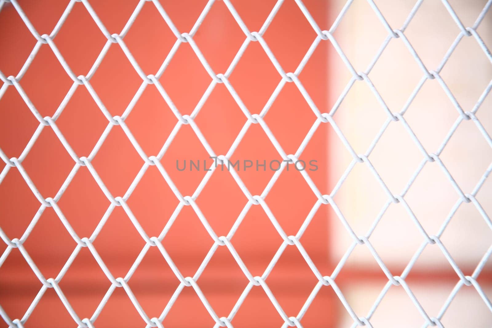 Wire netting