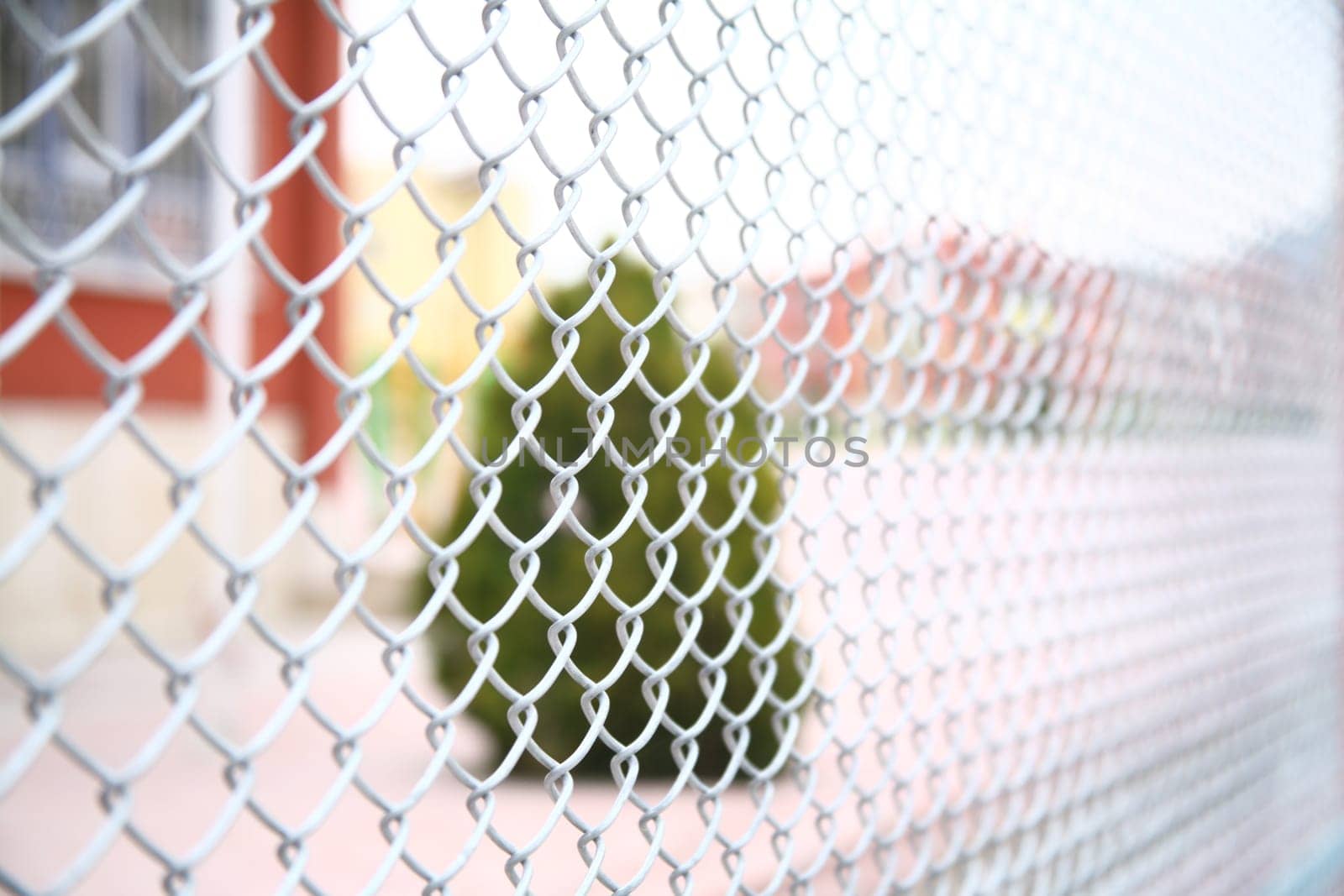 Wire netting