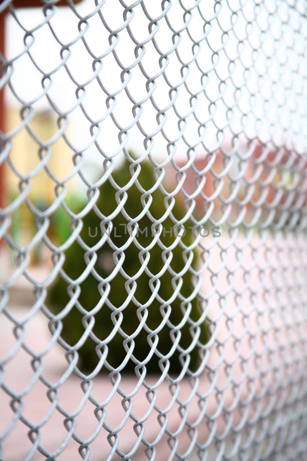 Wire netting