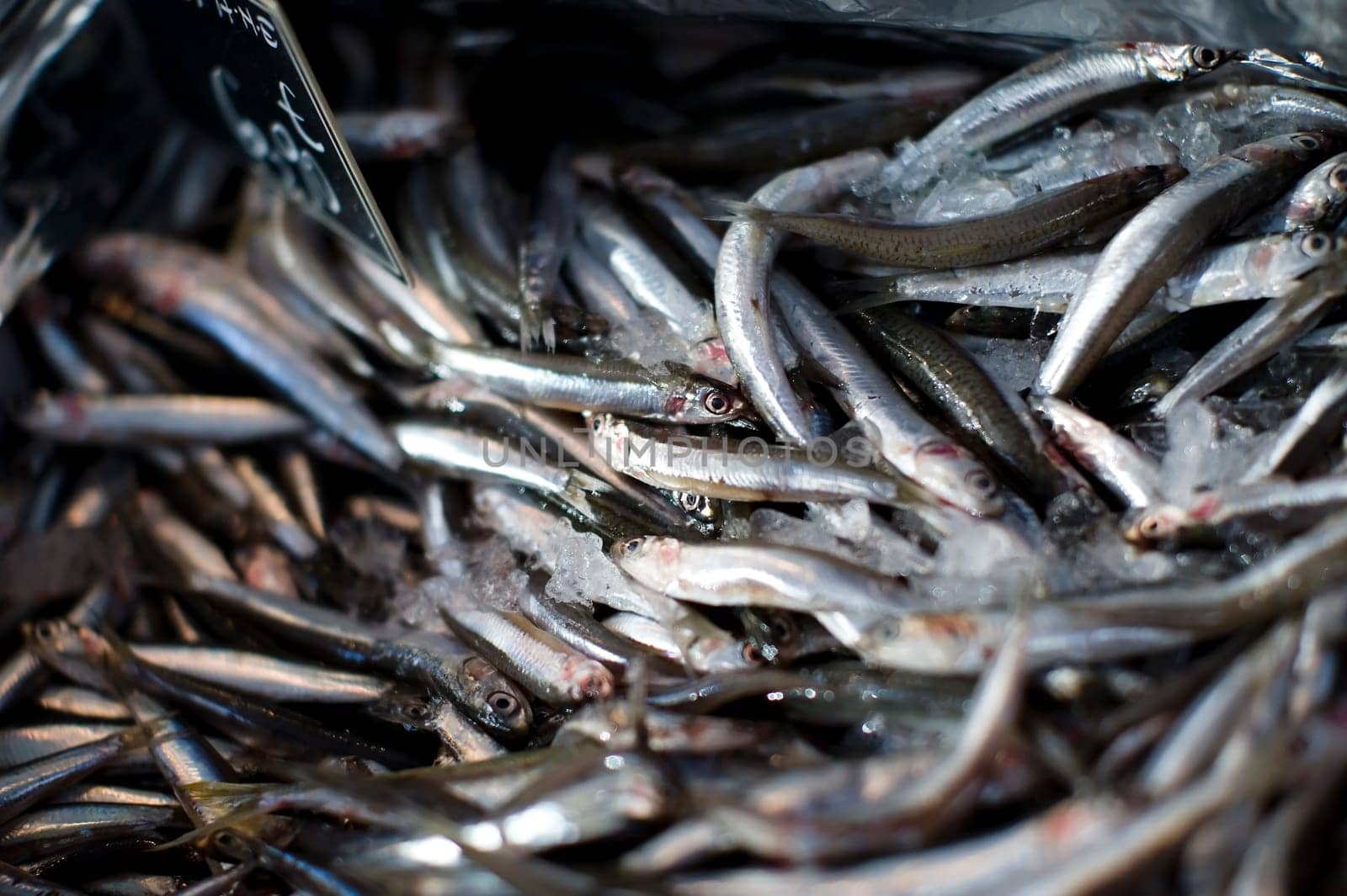 Fish for sale