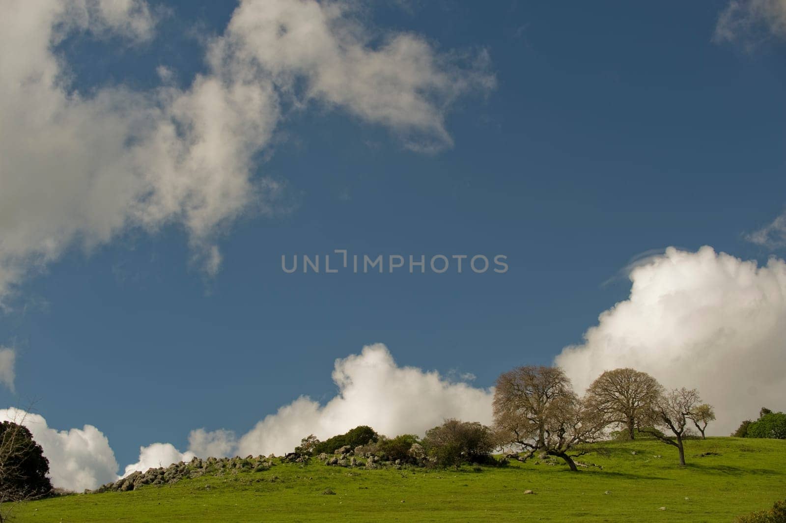 Hill and sky