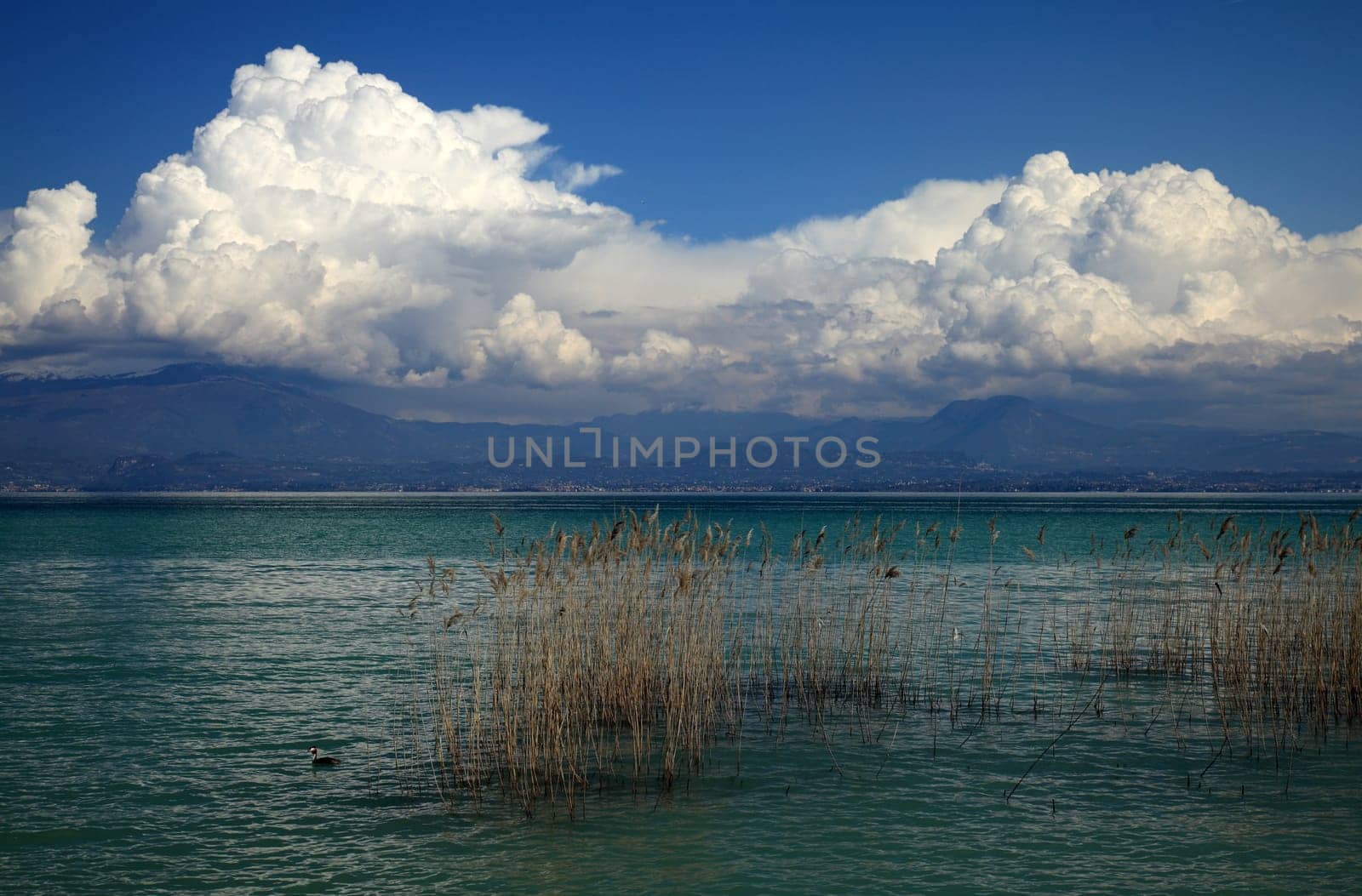 Lake Garda 3