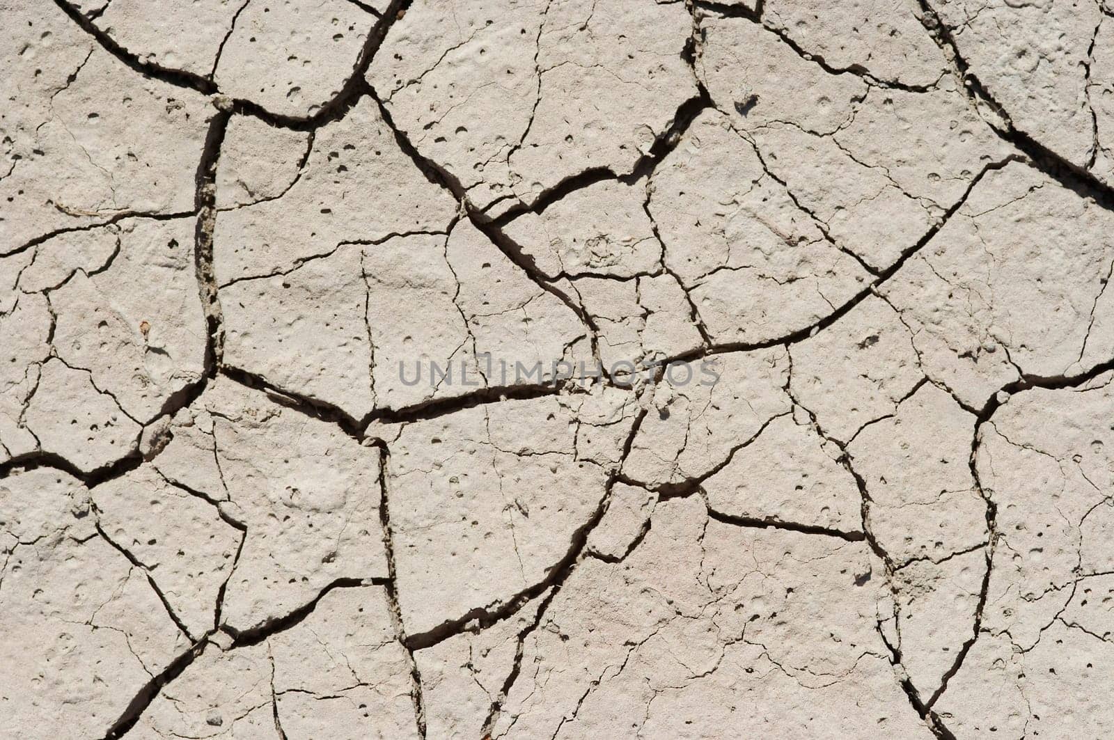 dried ground
