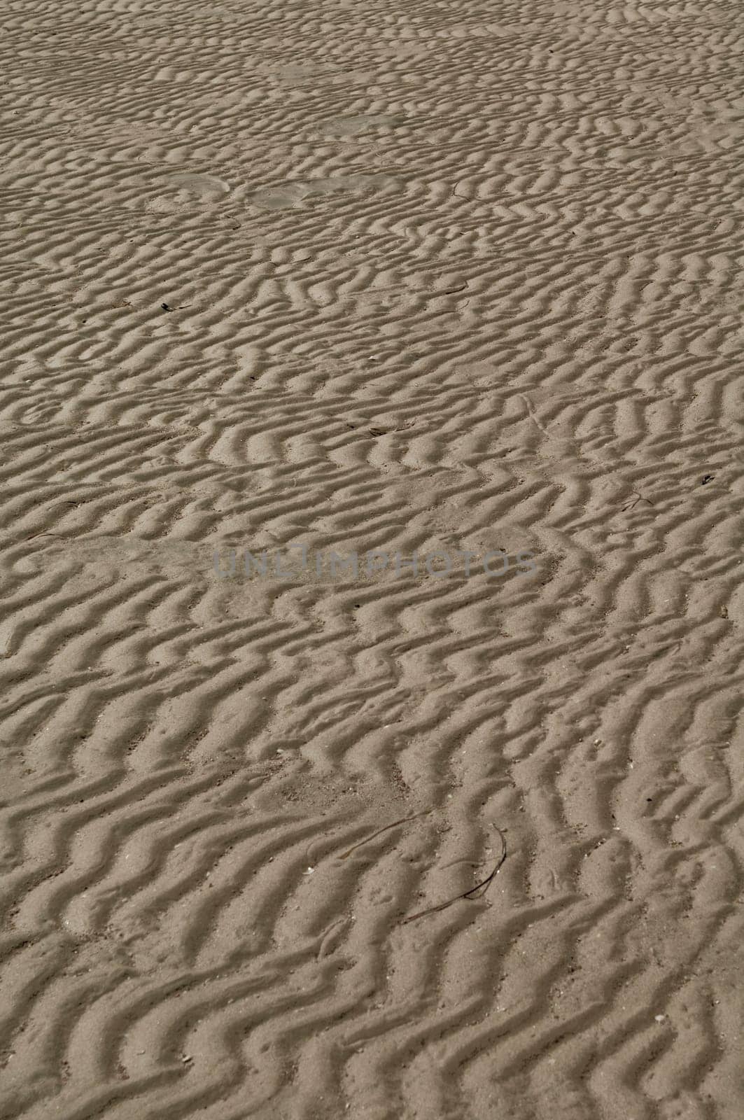 Beach Sand