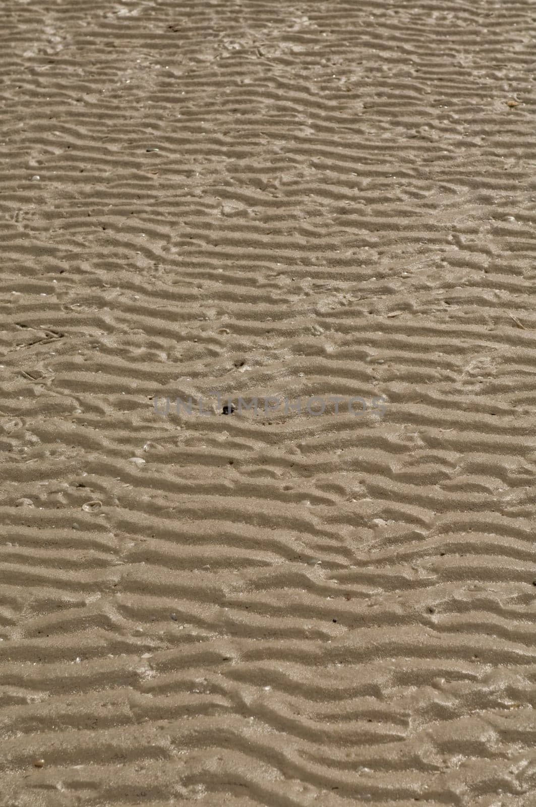 Beach Sand
