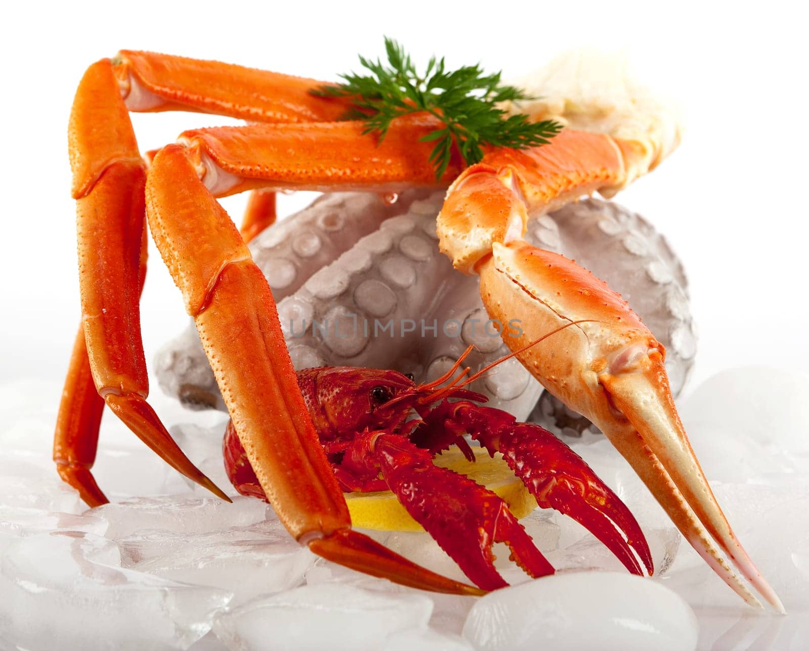 Seafood on ice