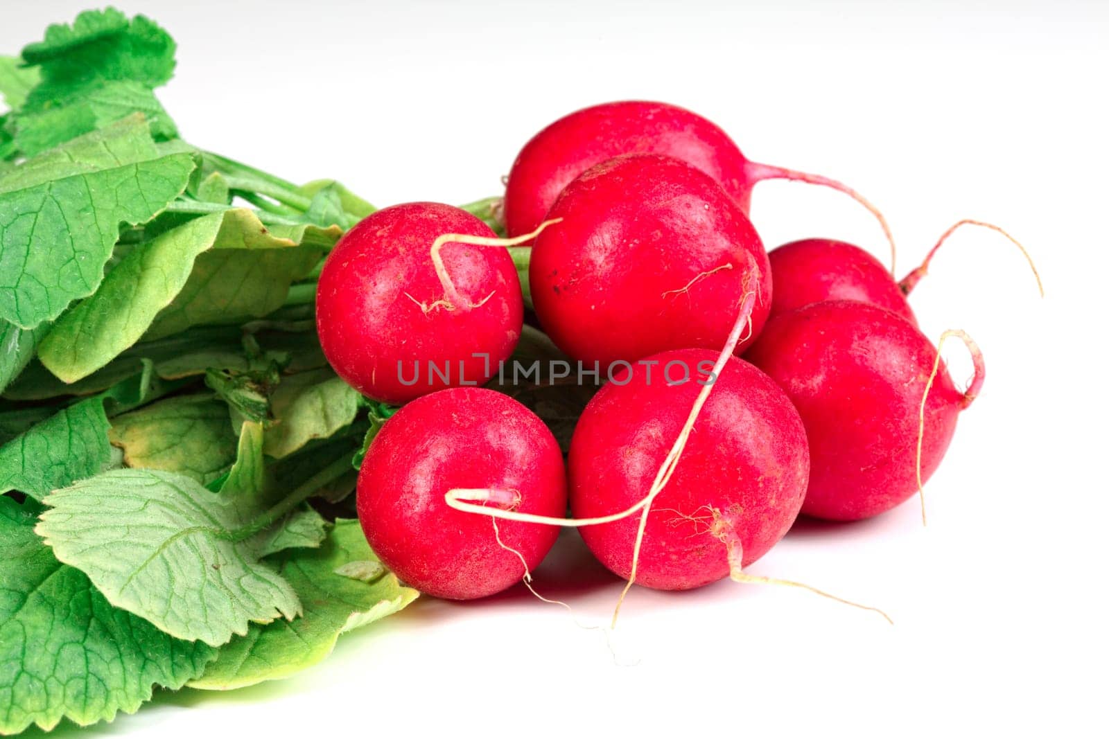 radish background