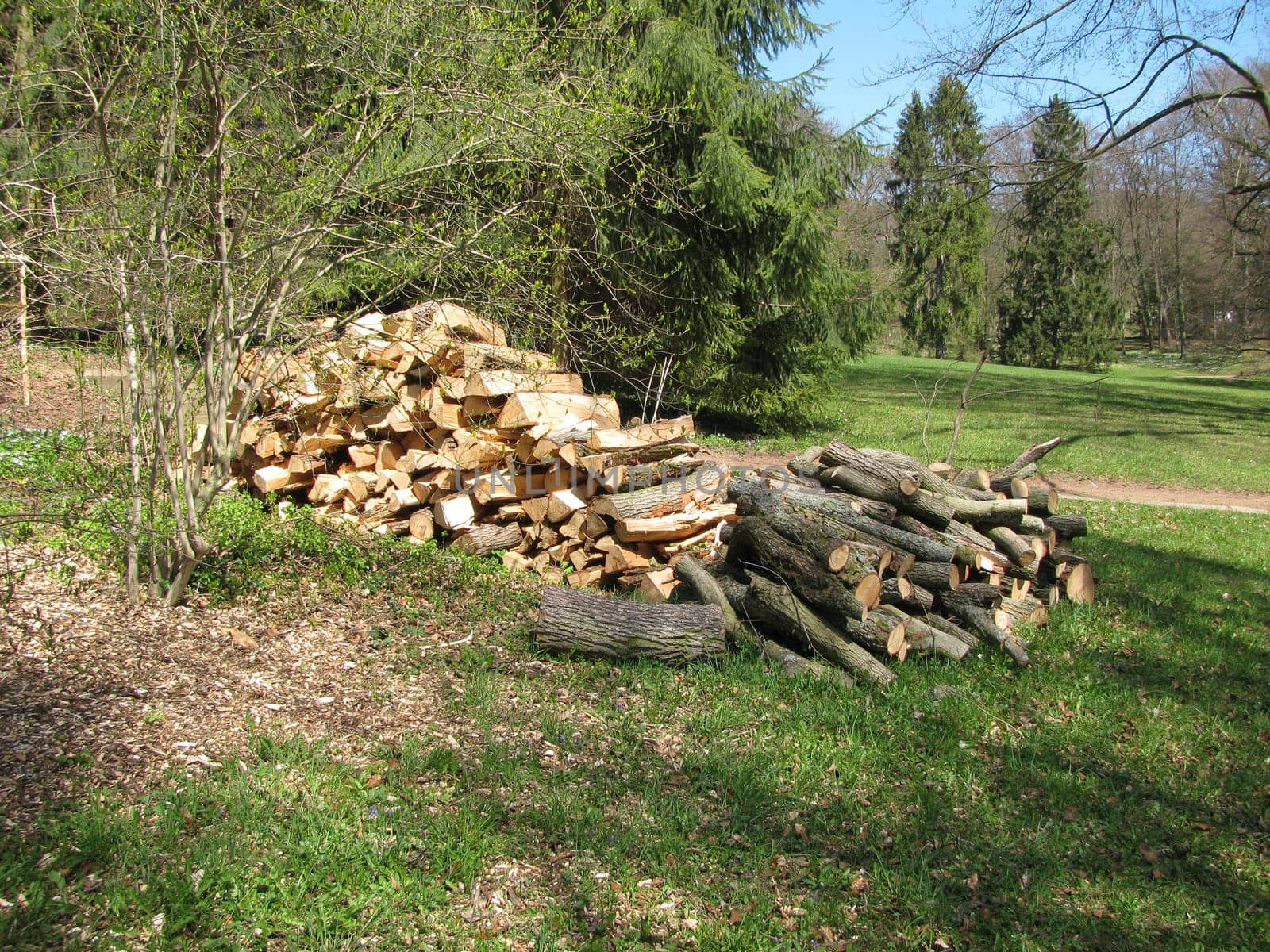 Stack of wood