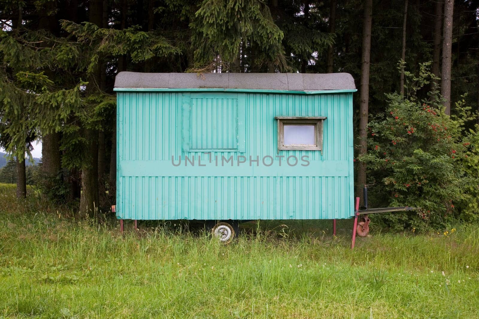 Old green construction trailer in the forest