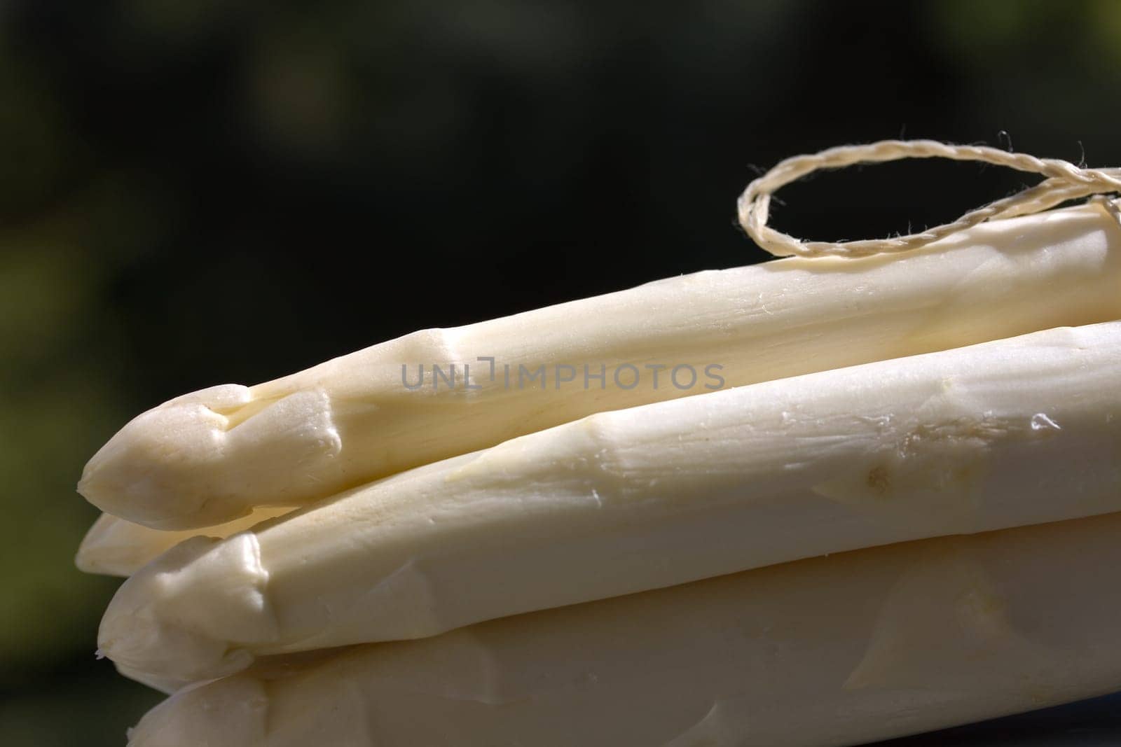 White asparagus