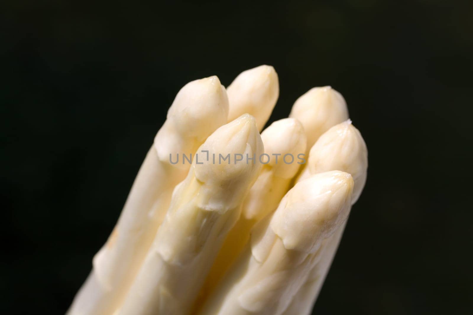 White asparagus