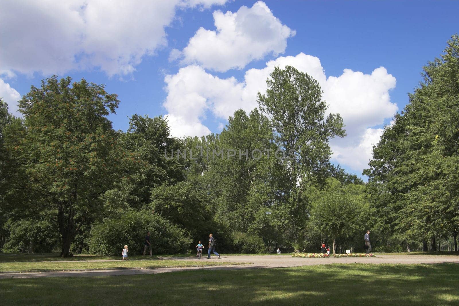 People, flowers, and trees in a summer park.