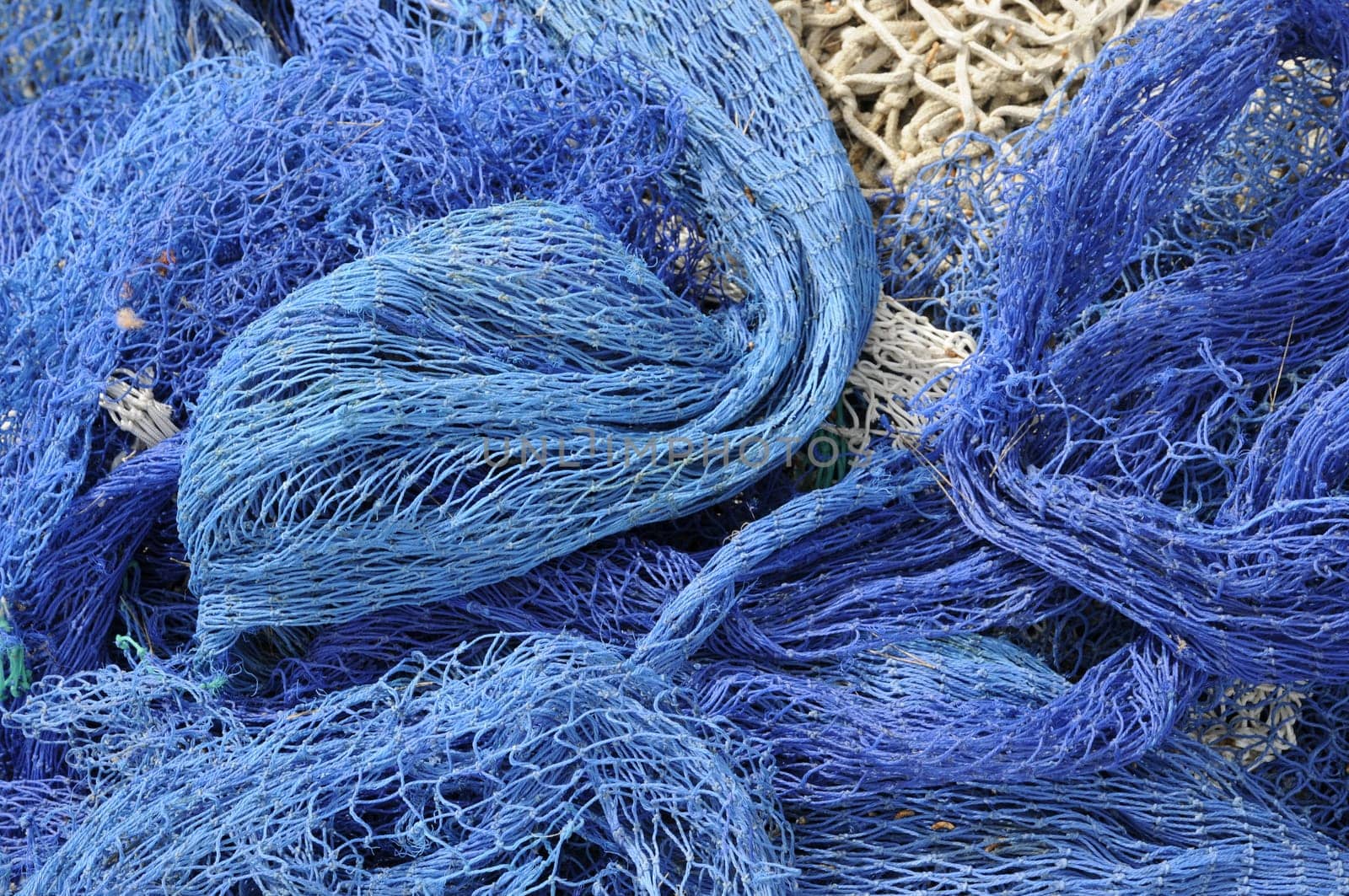 Fishing net