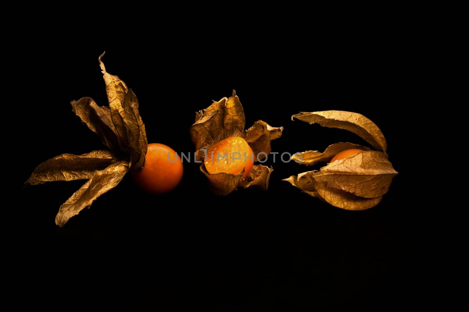 Physalis