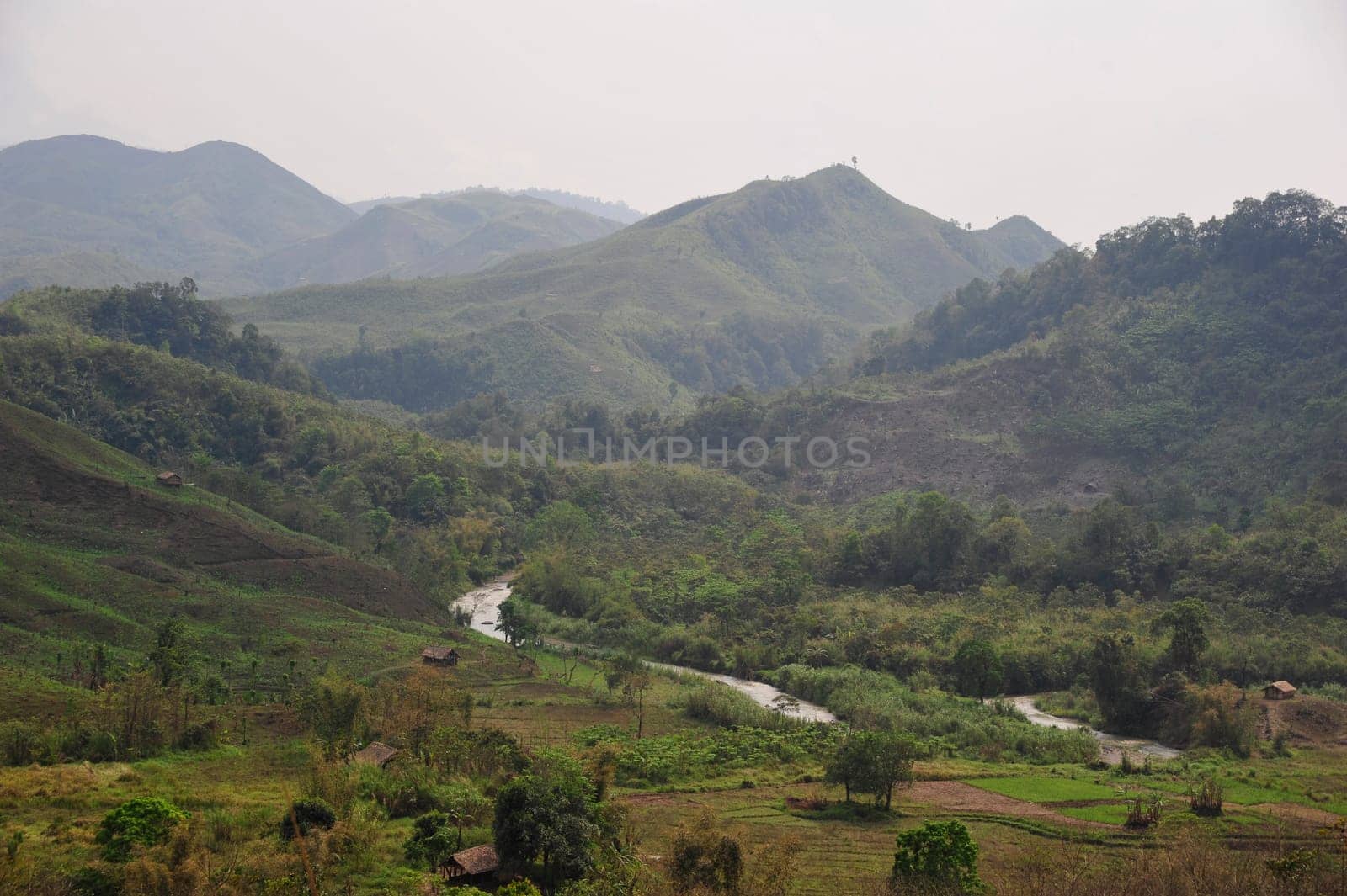 Nagaland