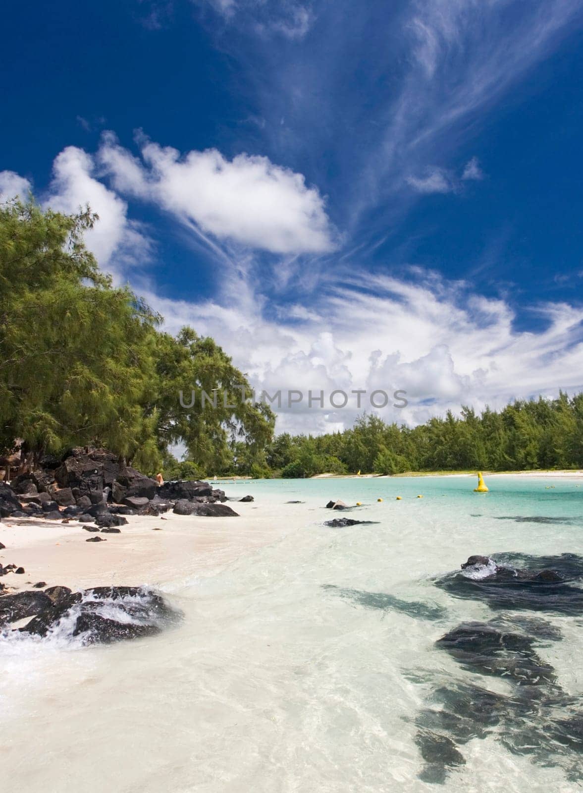 Dream Island
