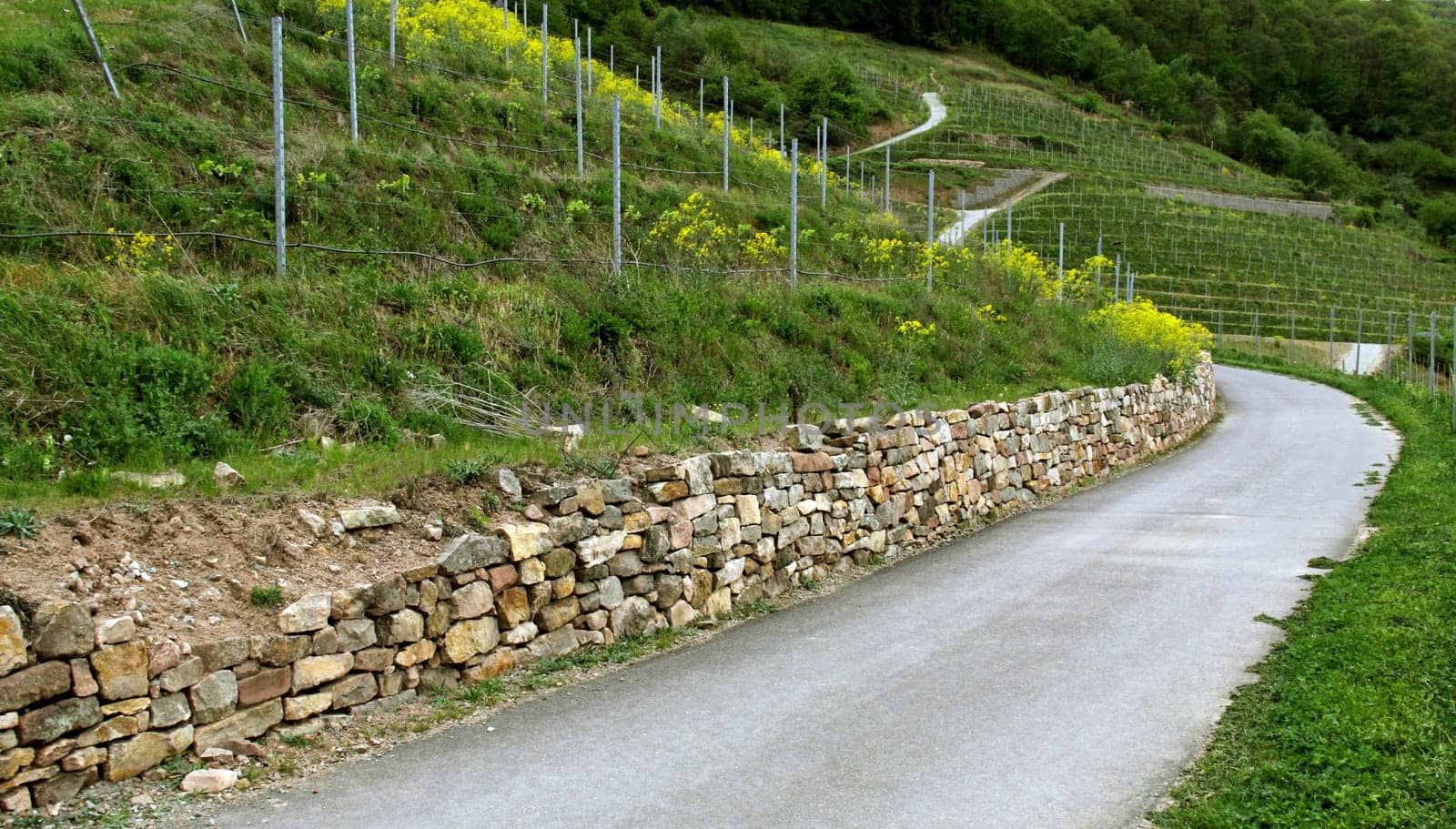 Mosaic landscape Kuhberg