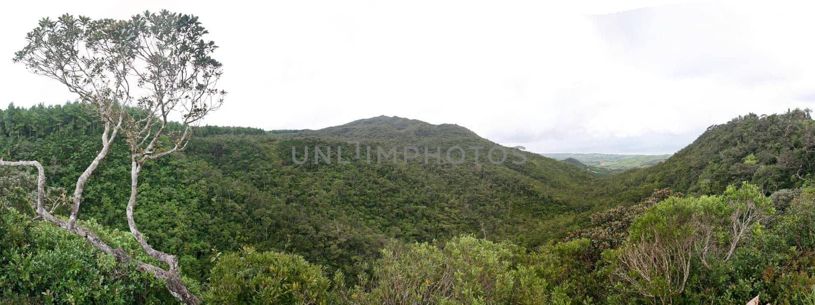 Mountain viewing platform