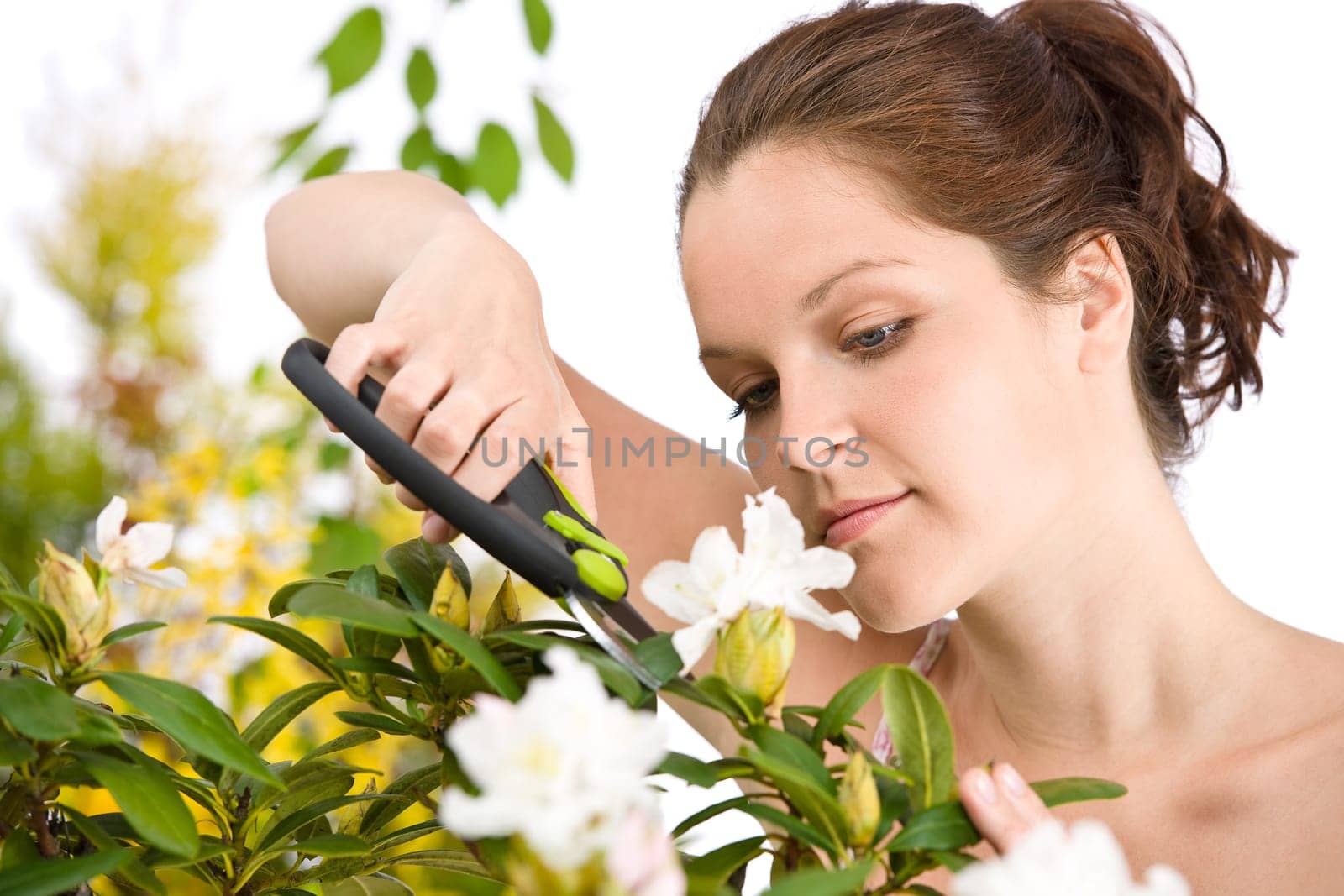 Gardening - woman cutting flower with pruning shears