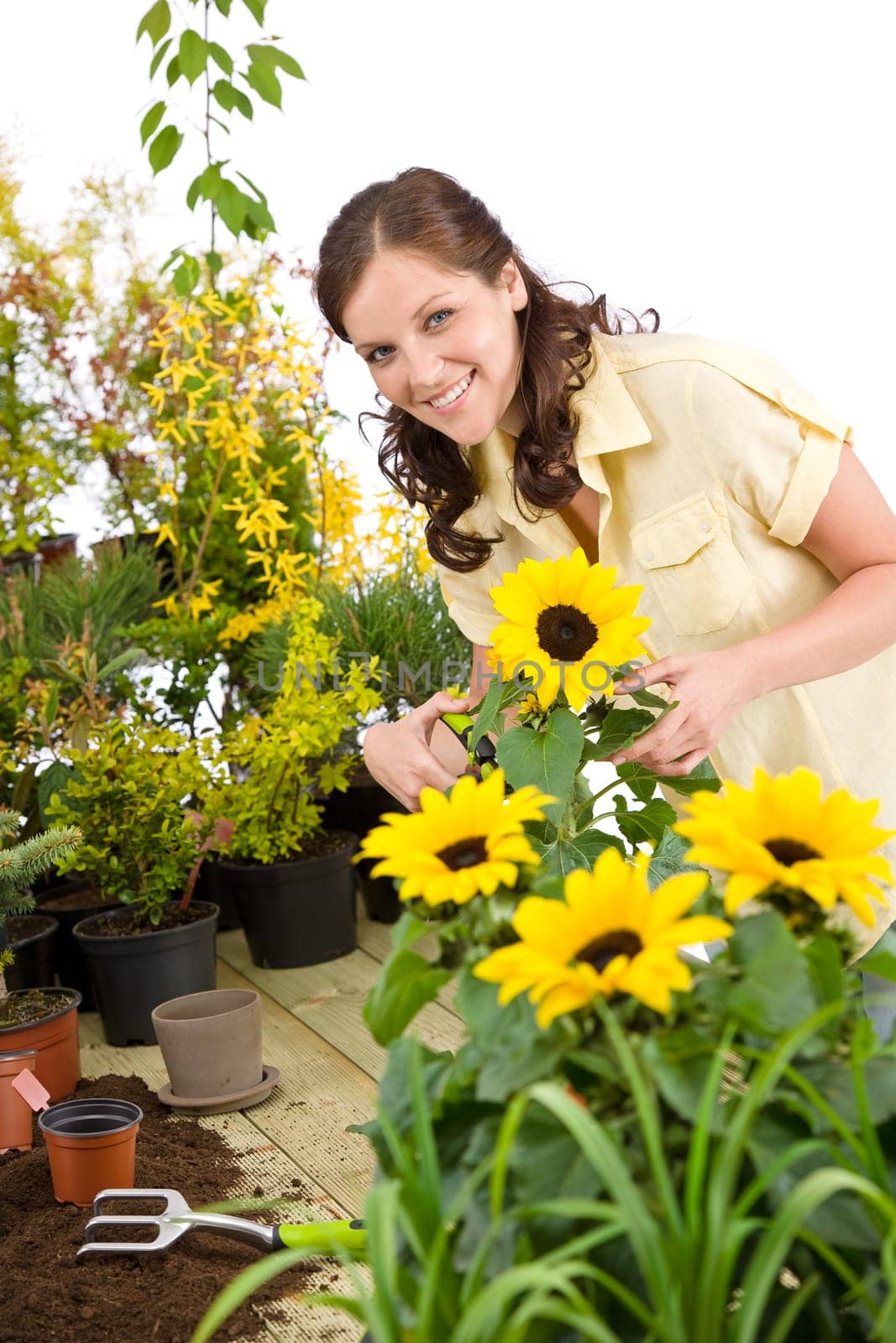 Gardening - woman cutting sunflowers and plants
