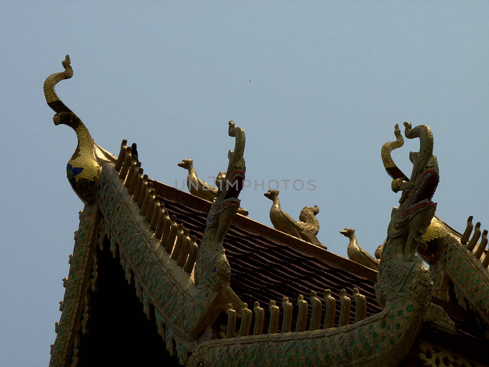 Ornate roof
