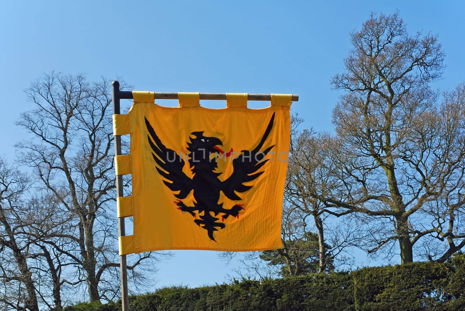 Eagle Coat of Arms