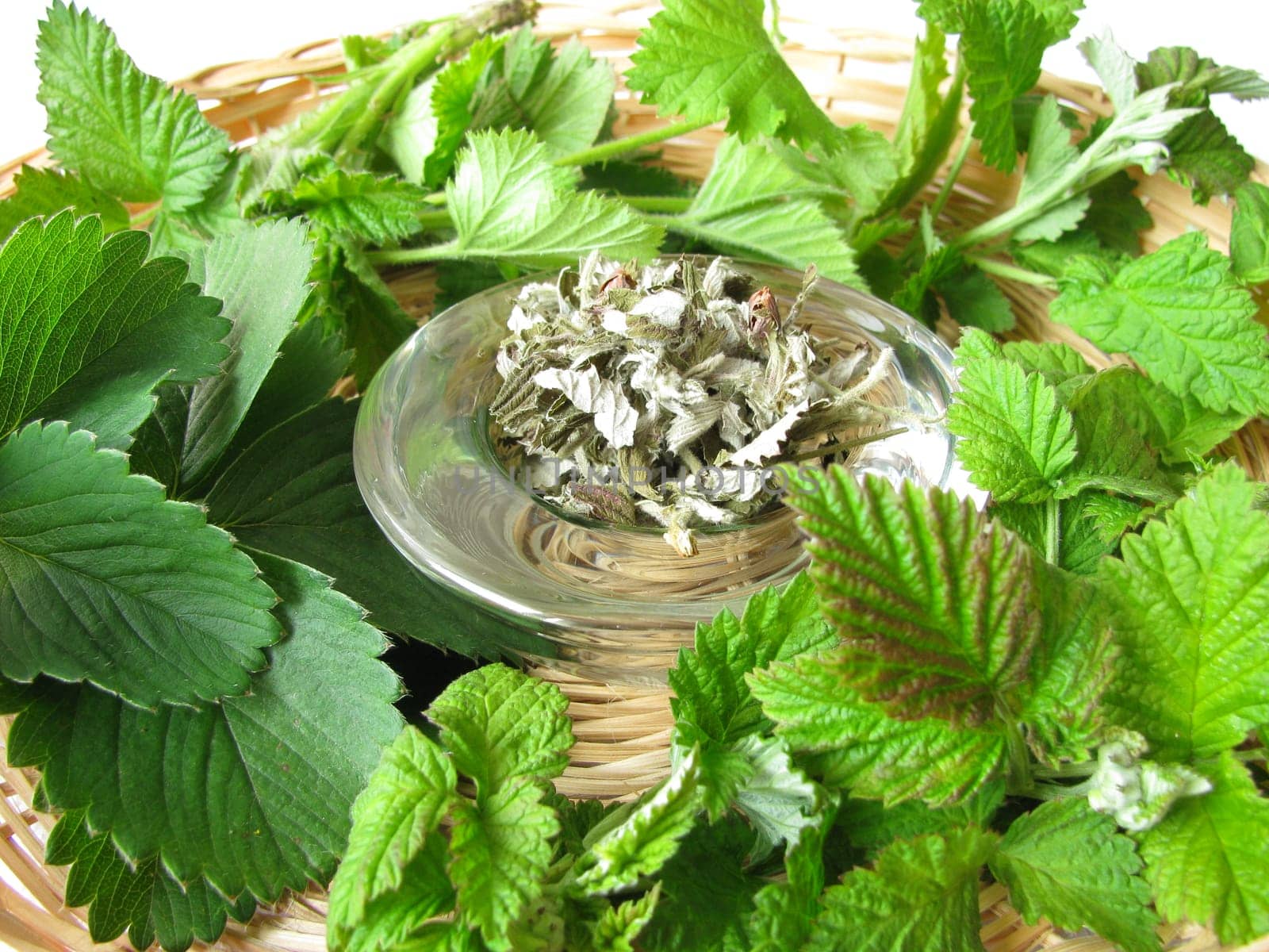 Berry leaves for tea