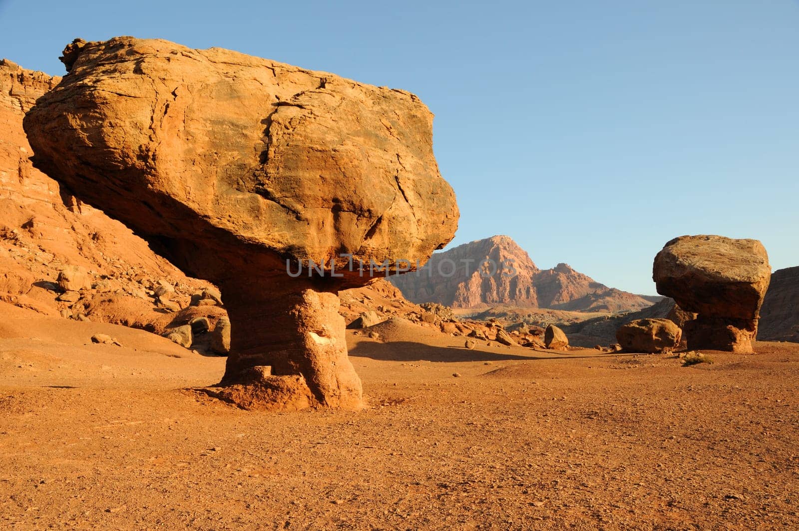 Vermilion Cliffs National Monument