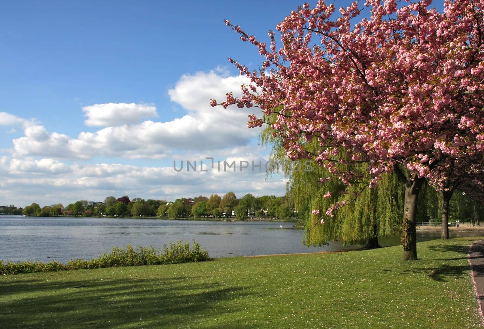Spring on the Alster