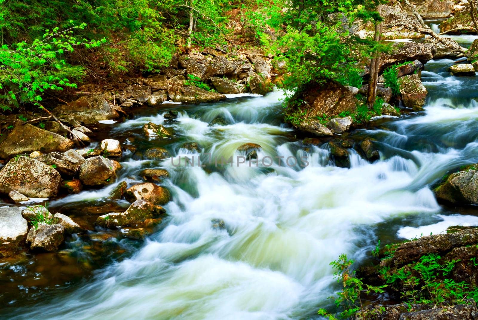 River through woods
