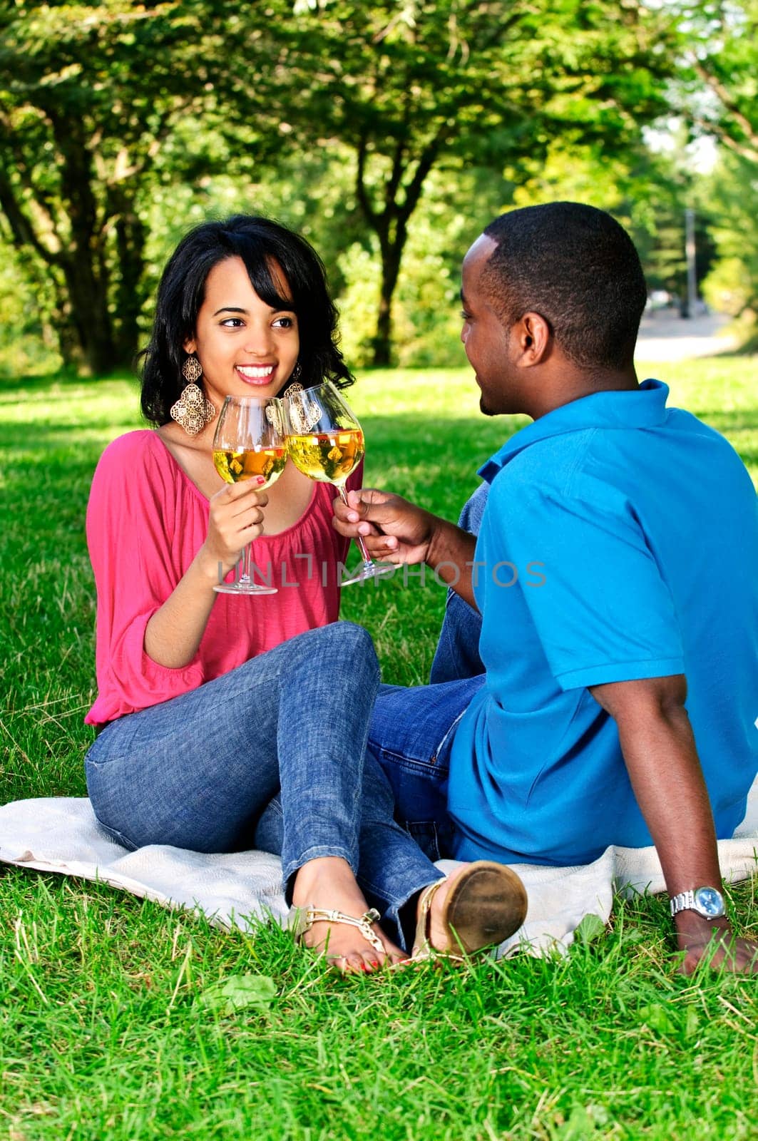 Happy couple having wine in park