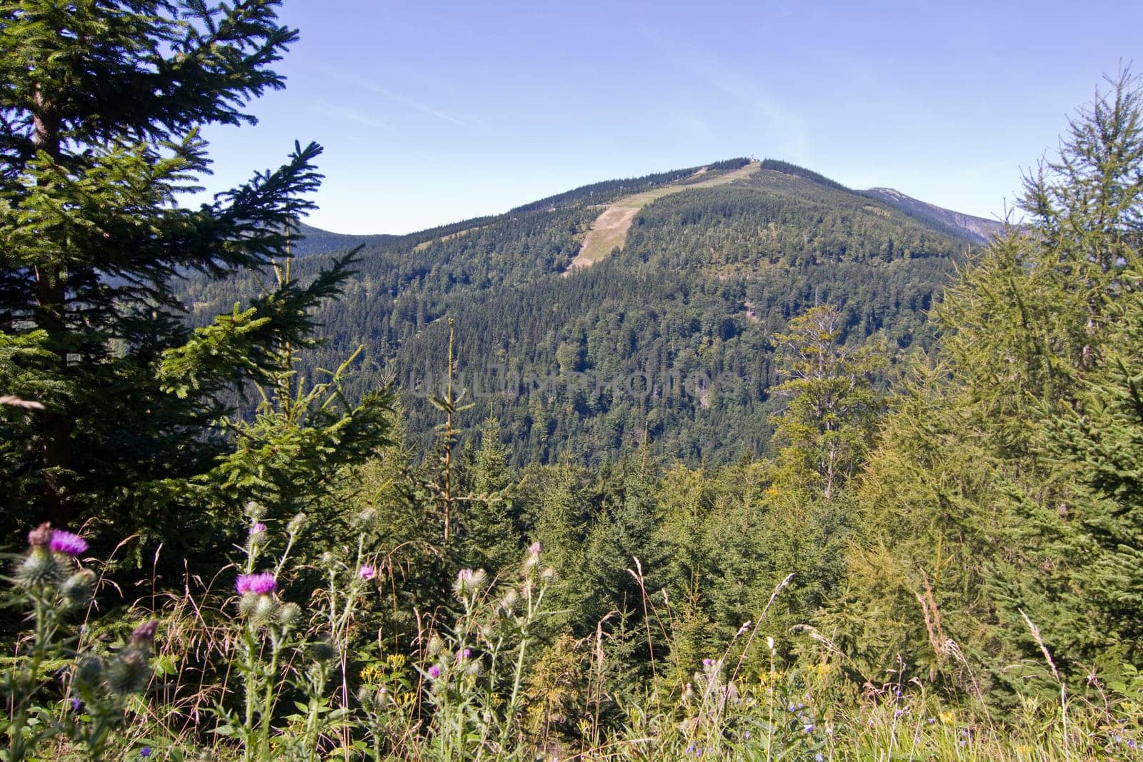 Mountain aisle