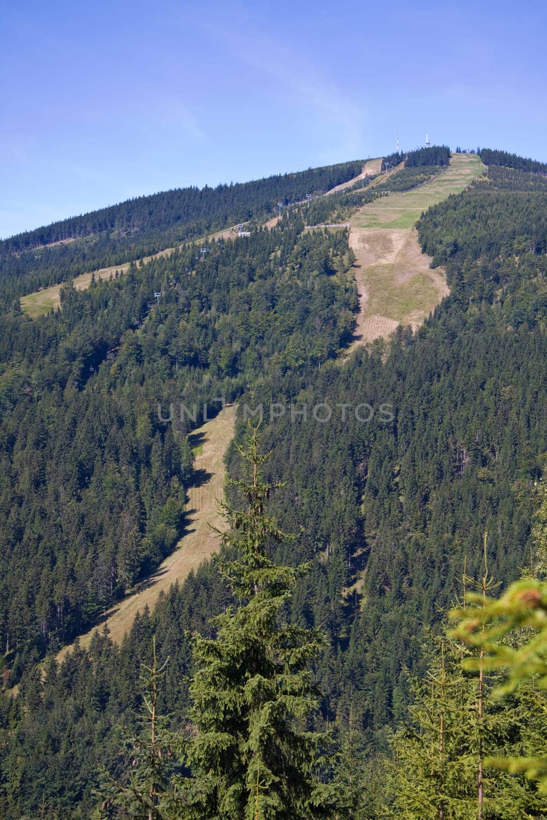 Summer downhill run