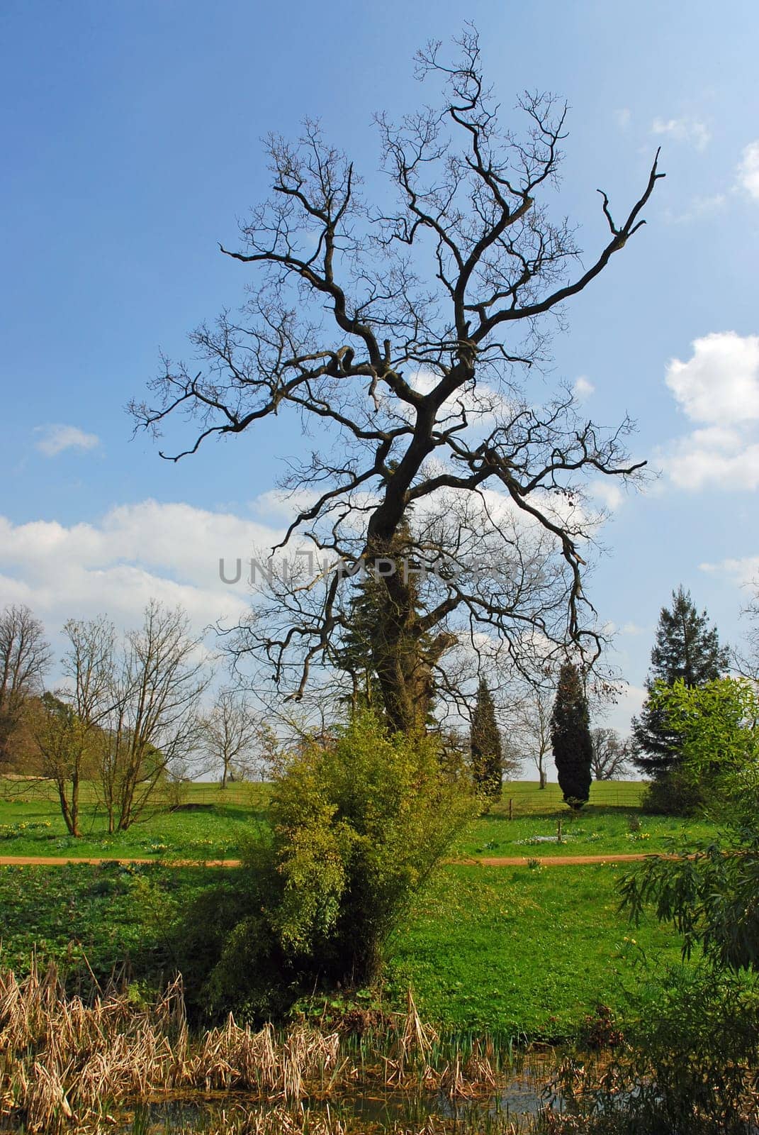 nature landscape or nature unspoiled or nature