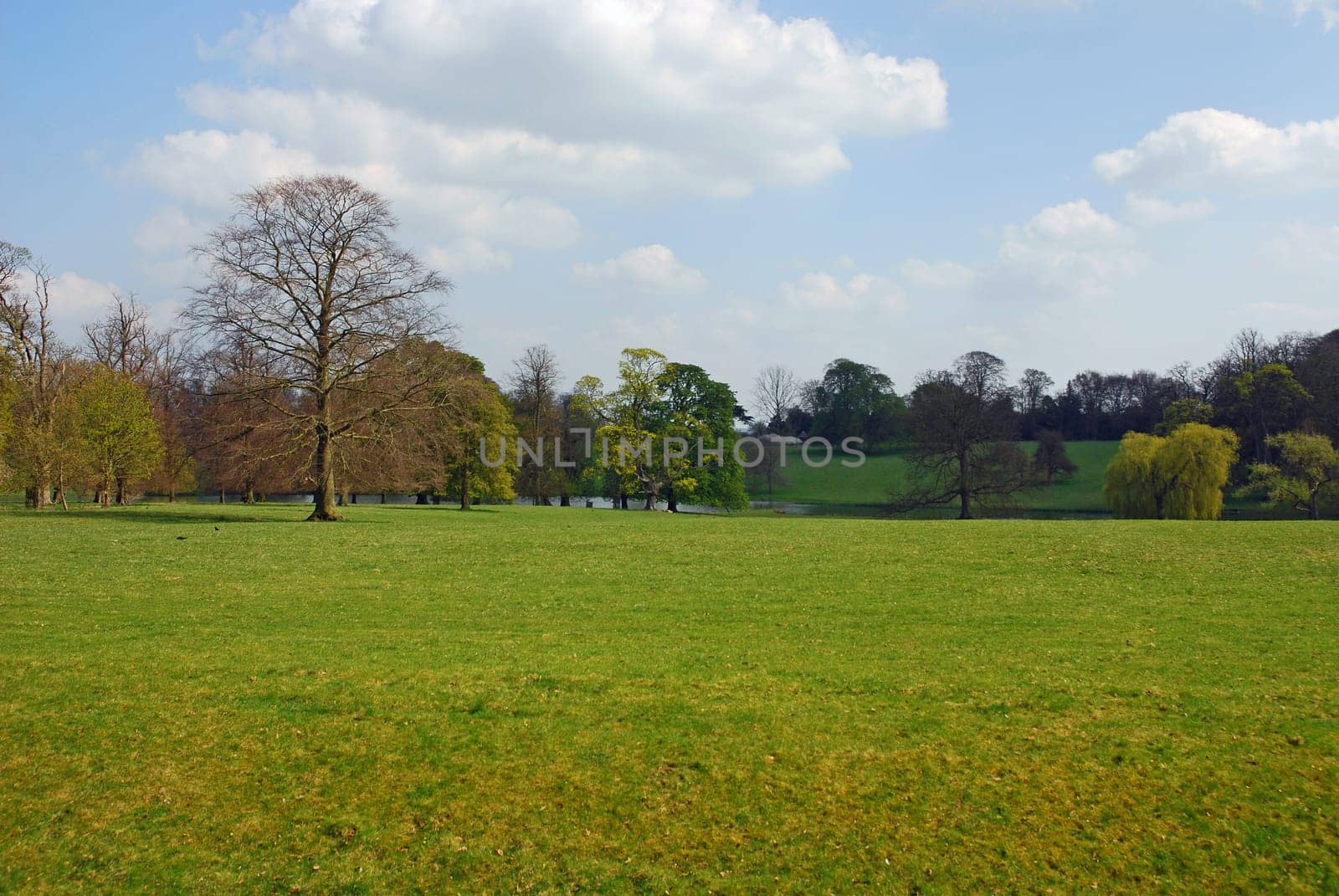 nature landscape or nature unspoiled or nature