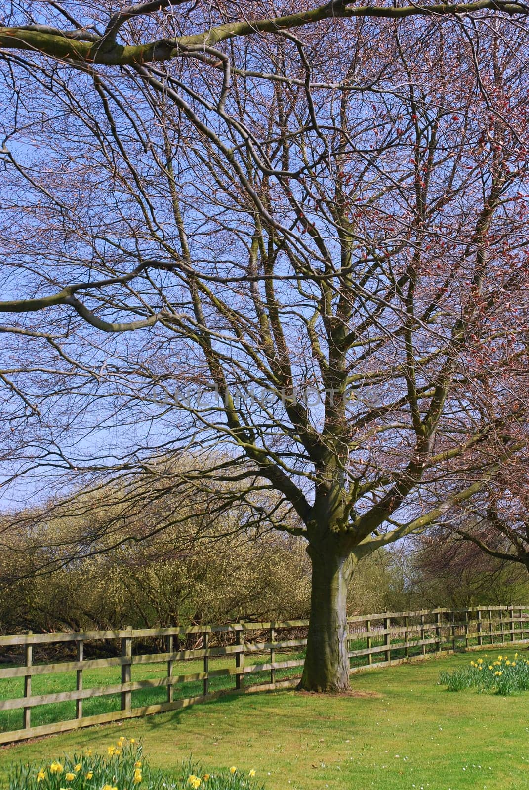 nature landscape or nature unspoiled or nature