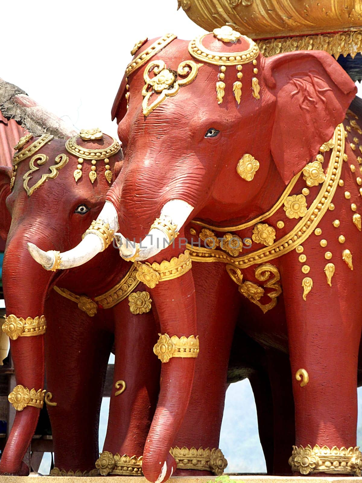 elephants