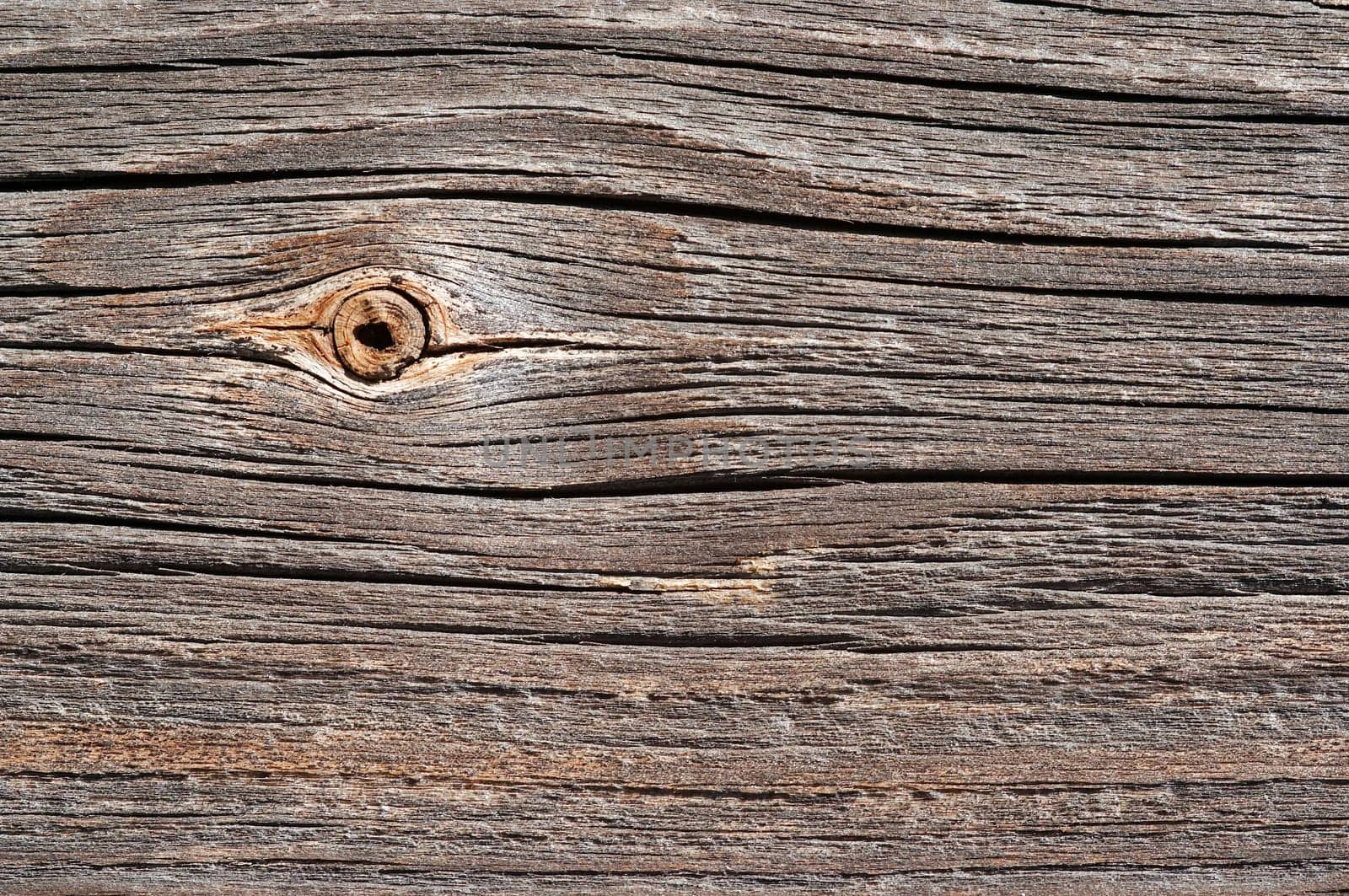 knot in wood