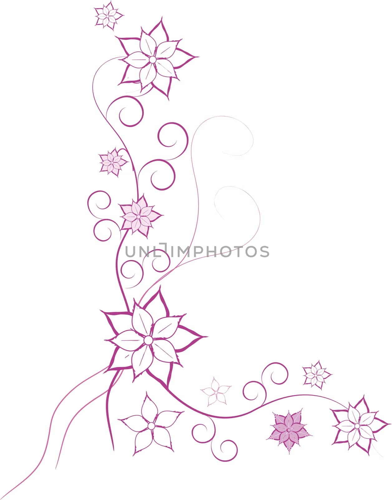 Floral Background Blossoms