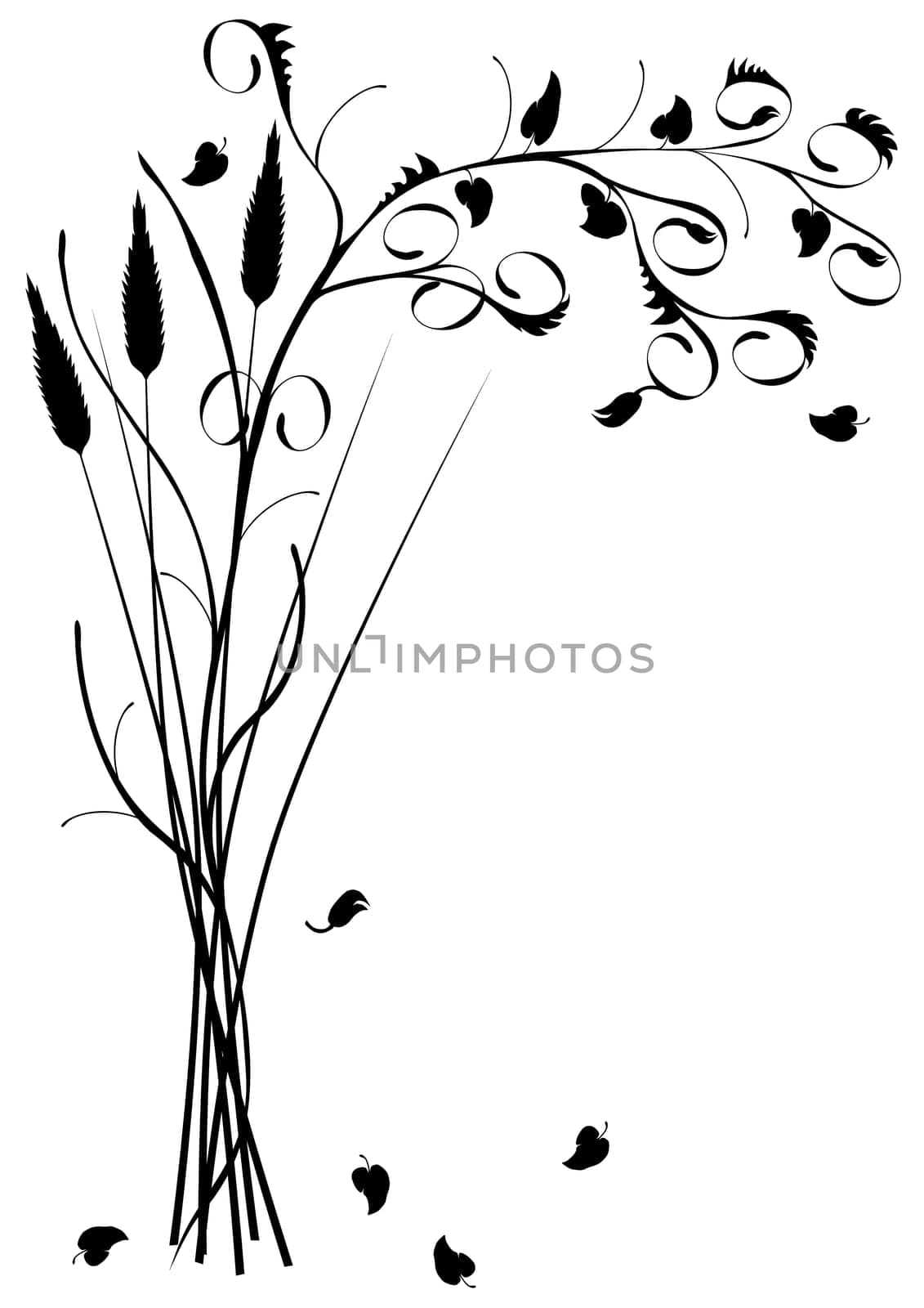 floral