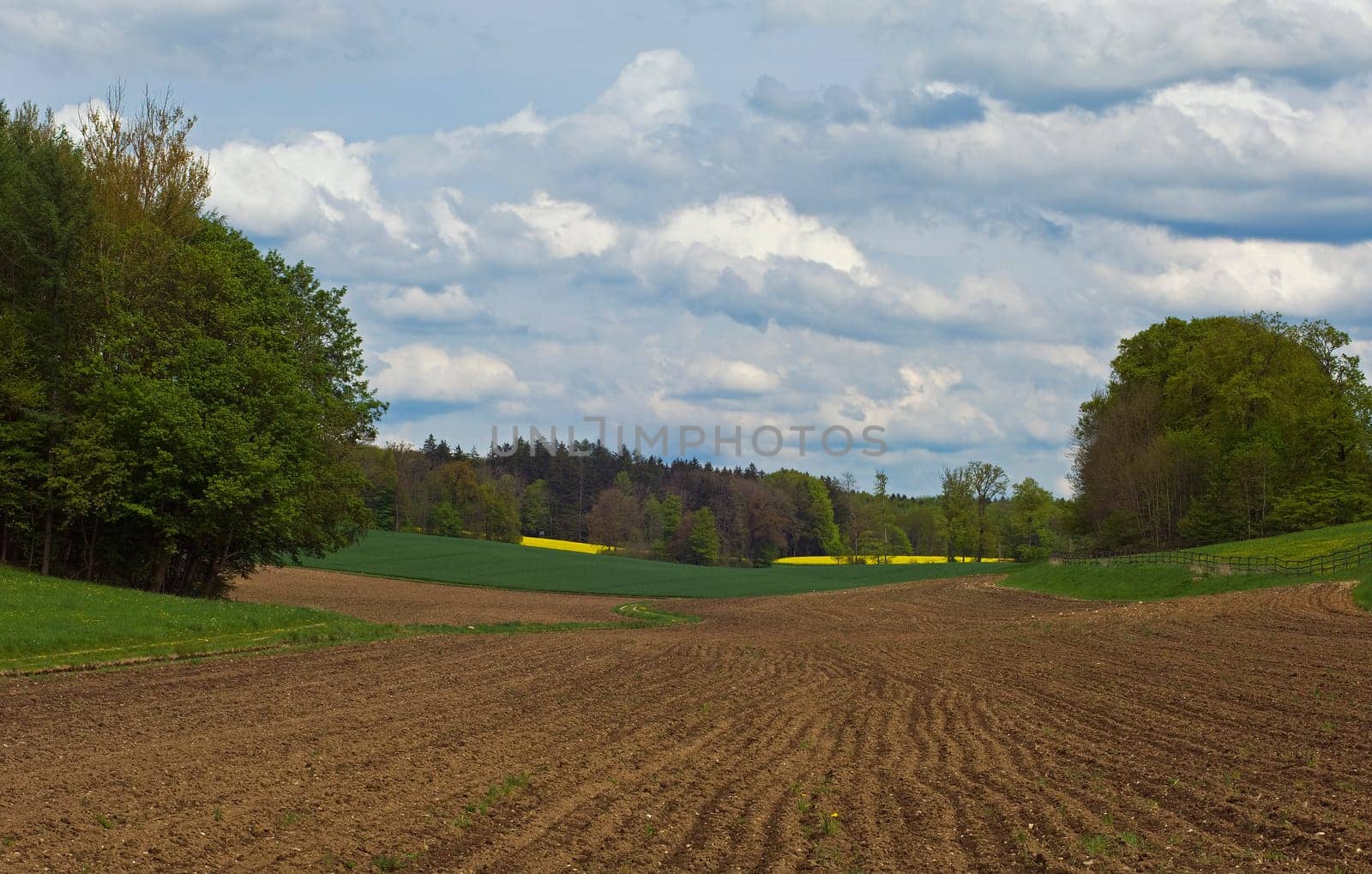 Bavaria,May 2010