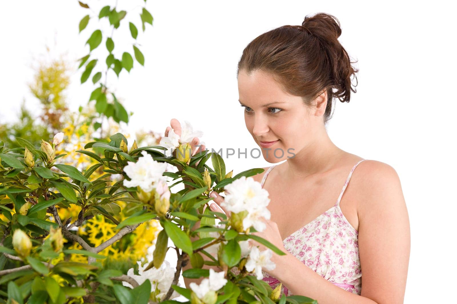 Gardening - Woman with Rhododendron flower blossom
