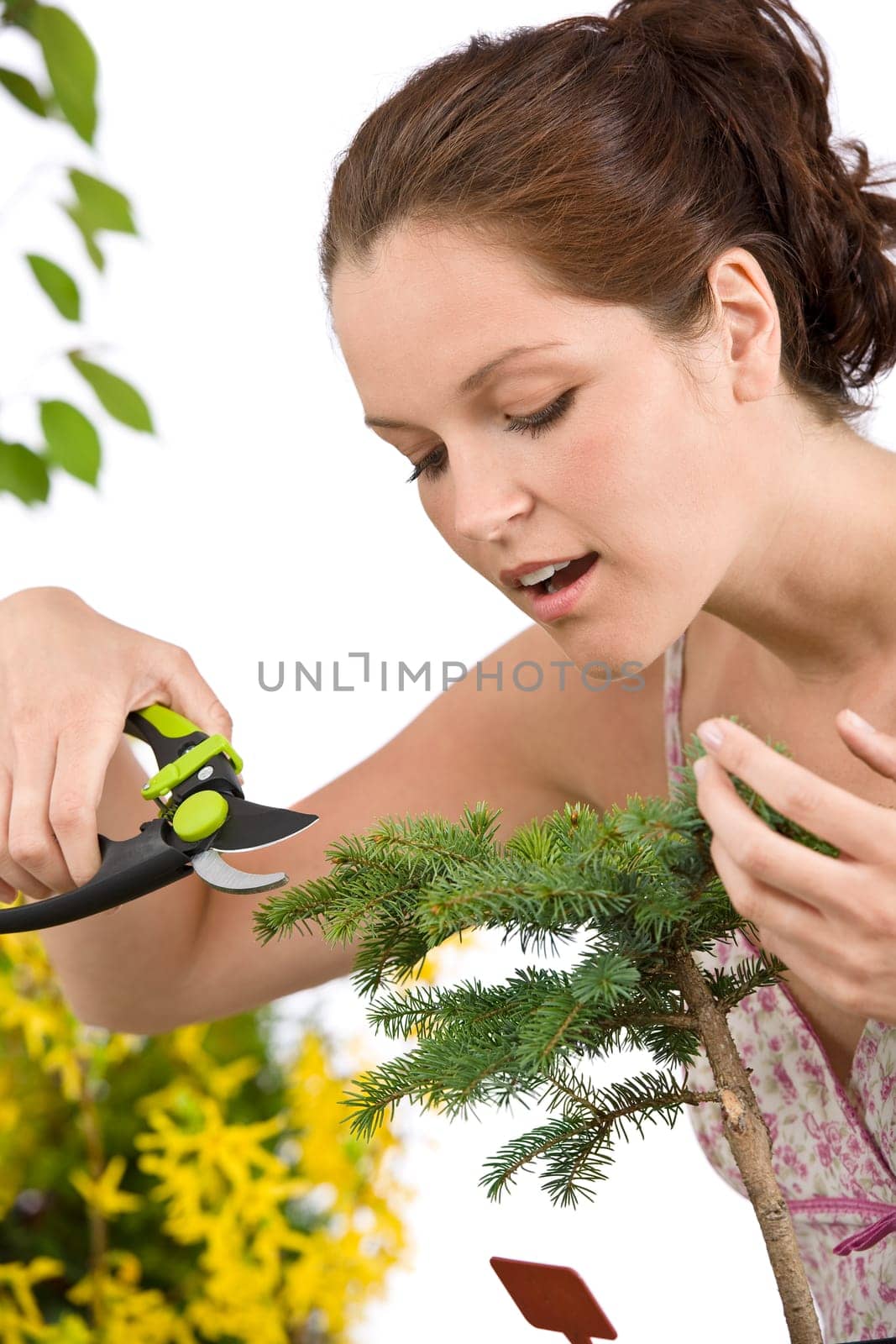 Gardening - woman cutting tree with pruning shears