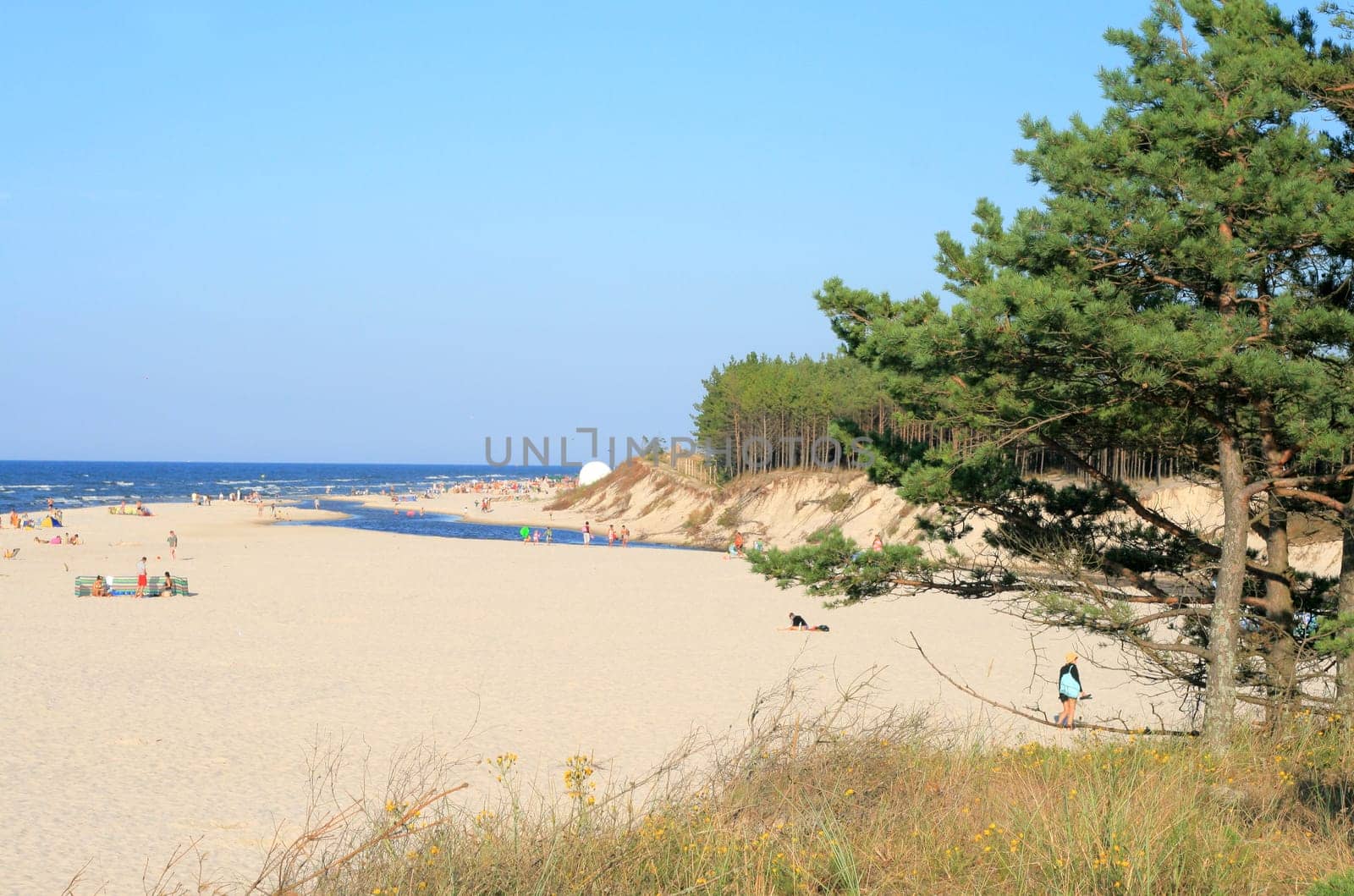 Landscape on the beach