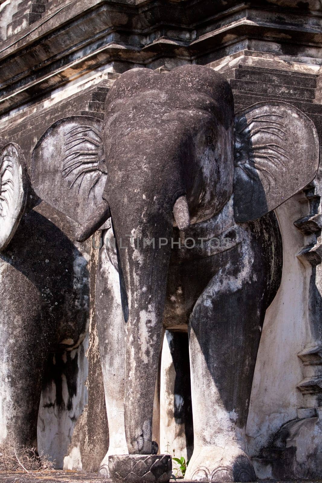 Elephant Temple