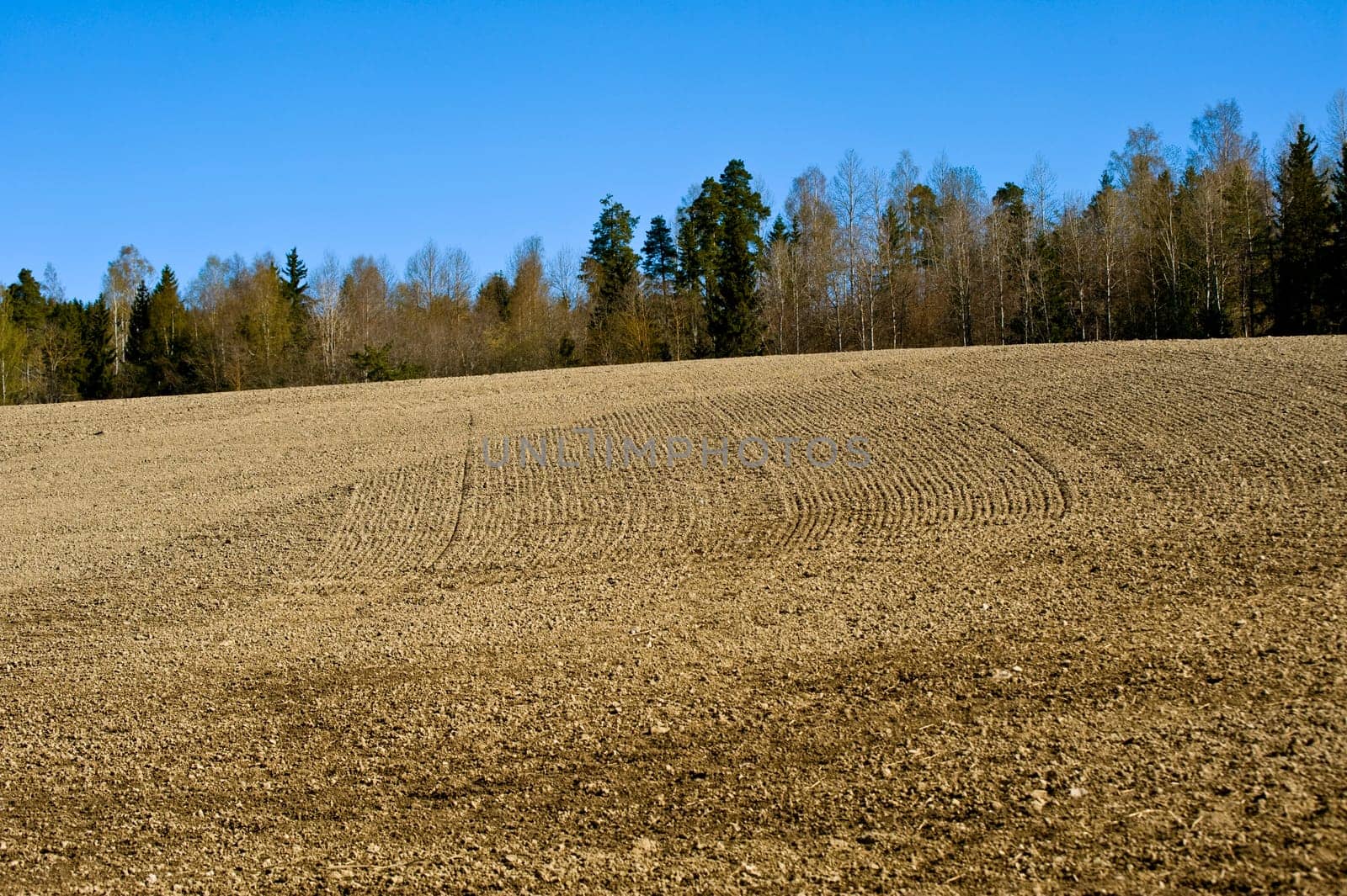Field