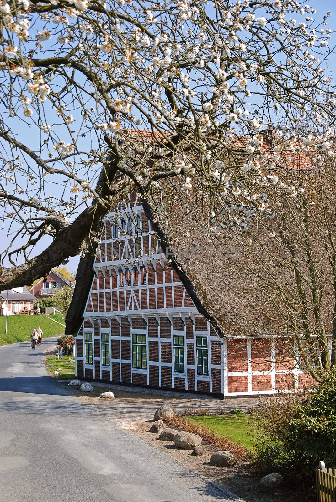 Thatched-roof house in the Altes Land